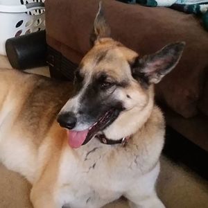 Meet your Posher, Noah